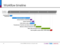 全基因组文库筛选的工作流程和时间表