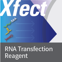 Xfect RNA转染试剂