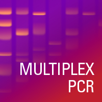 用于多重PCR的SuperPlex预混
